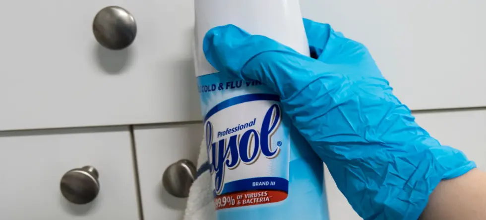 Does Lysol Kill Cockroaches? Understanding Its Effectiveness
