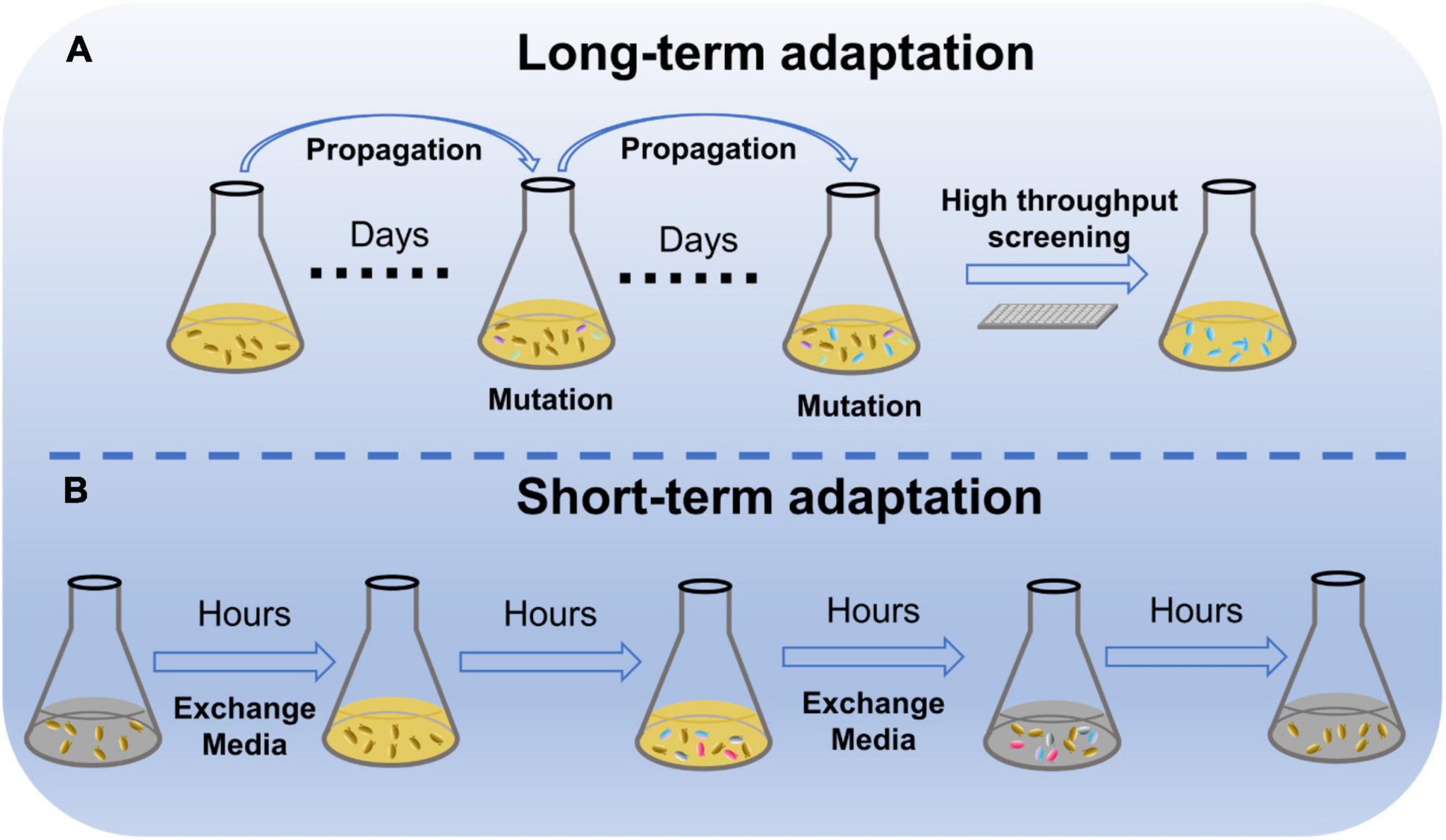 fmicb-13-888746-g001